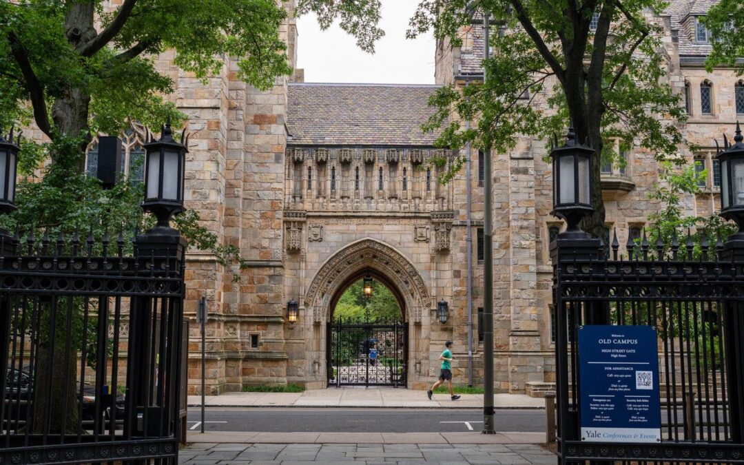Yale challenges AI with brand-new classes, differed policies and a principles focus
