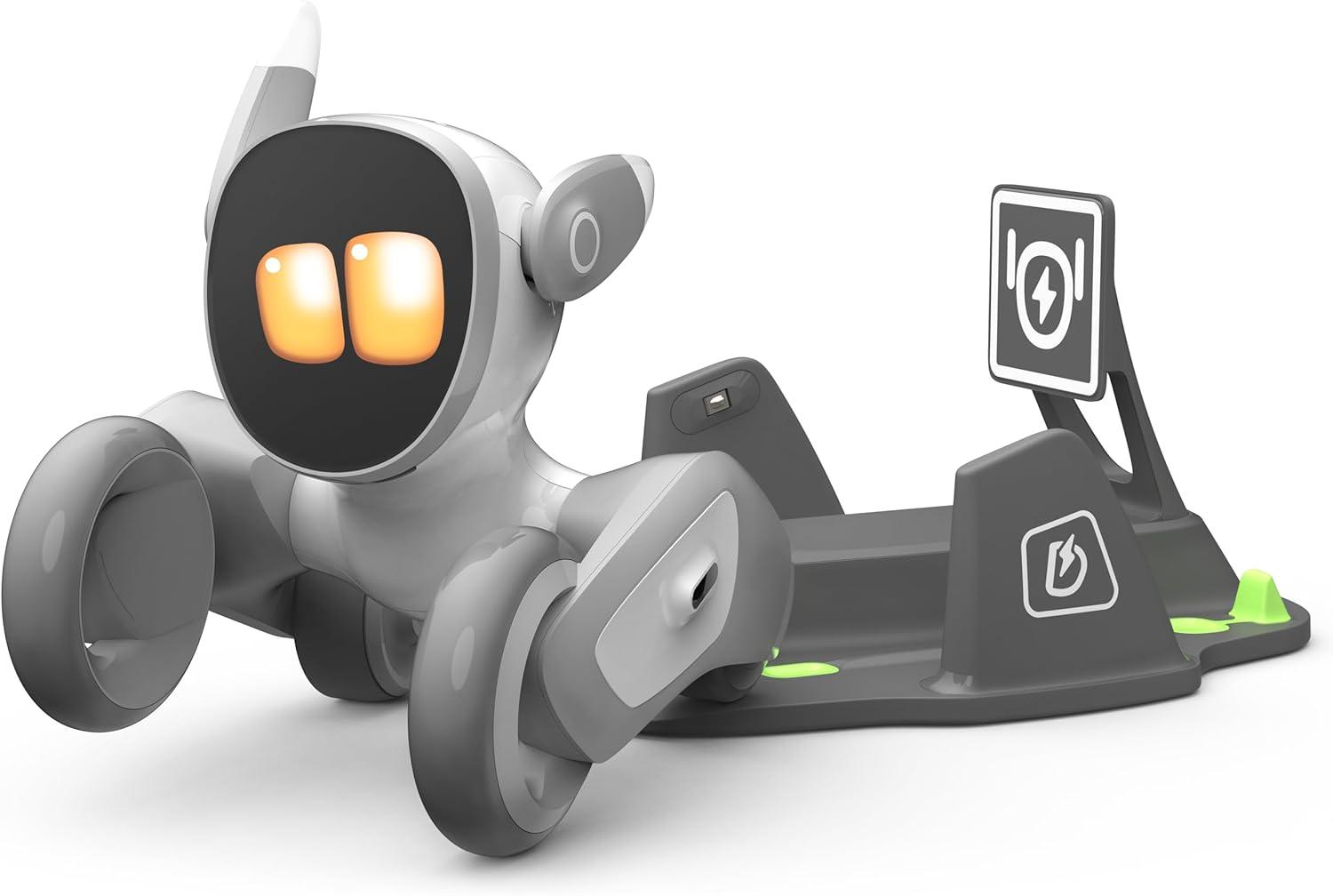 Unleash Young Innovators: Top STEM Robotics!