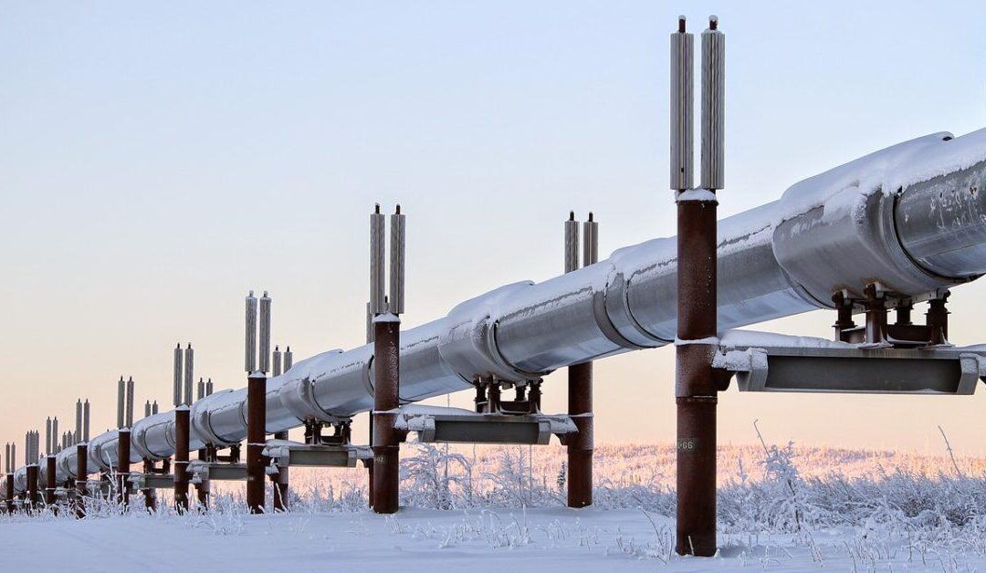 Simulation-based pipeline tailors training information for dexterous robotics