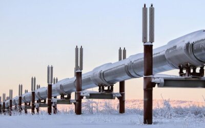 Simulation-based pipeline tailors training information for dexterous robotics