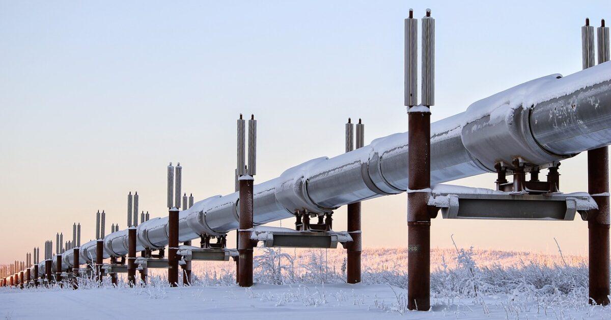 Simulation-based pipeline tailors training information for dexterous robotics