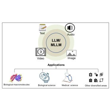 Are You Being Unfair to LLMs?