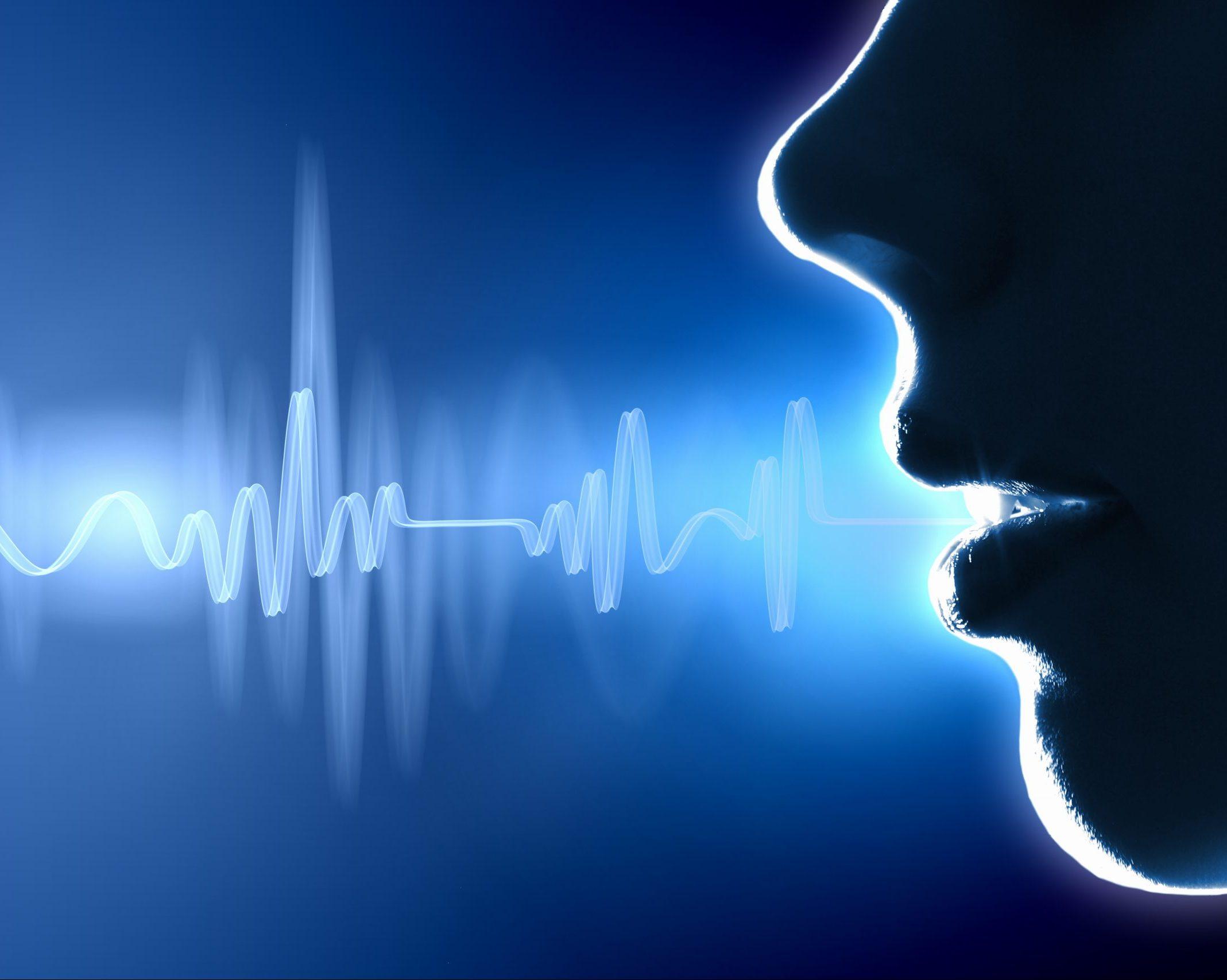 Voices from the Archipelago: The Role of Public Input in Shaping AI Ethics