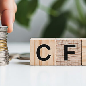 Finance & Capital Prompts Pack